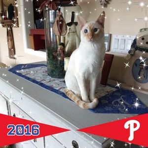 Meet your Posher, Deb